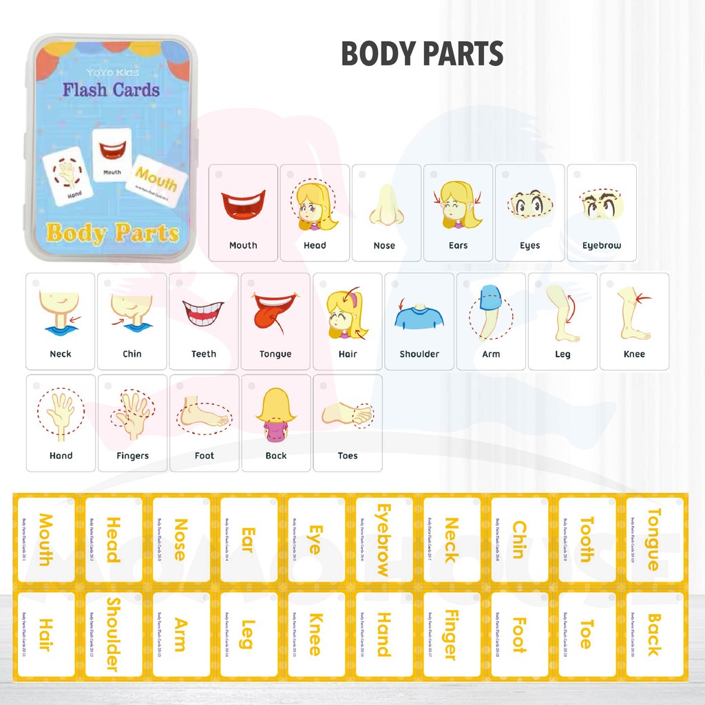 Early Learning Flash Card Kad Animal Shape Colour Body Number Alphabet Fruit Weather Kids Education