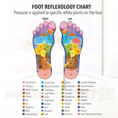 Acupressure Reflexology Foot Healthy Massage Slippers Slipper Sandal Shoe Kasut Selipar Urut