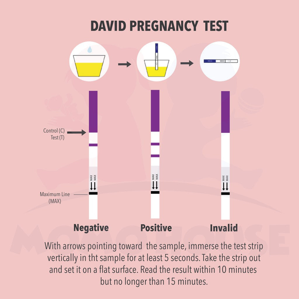 Early Pregnancy Test Strip & Ovulation Test Strip Ujian Kesuburan Wanita