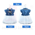 Baju Baby Girl Clothing Flower Girl Dress for Kids Girl (BM018)